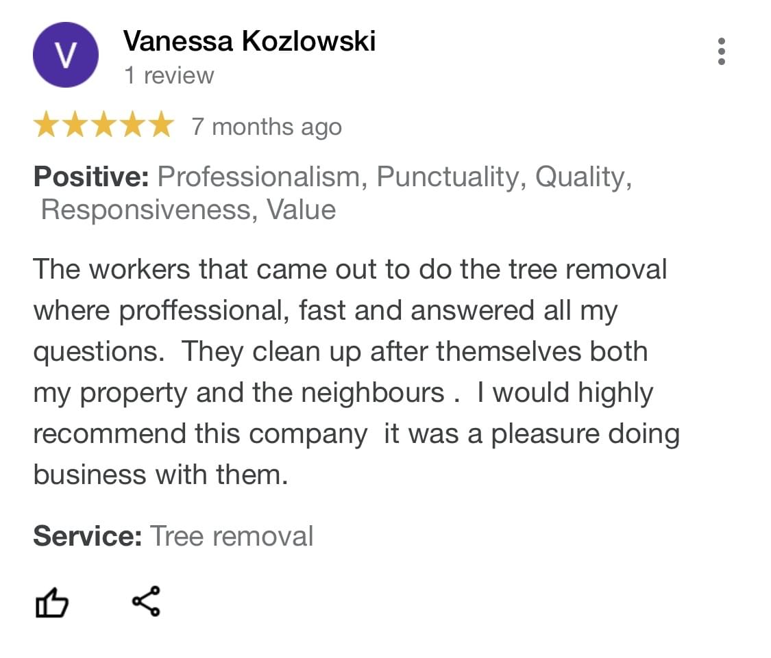 tree removal, tree pruning, tree trimming, arborist, tree care, tree service