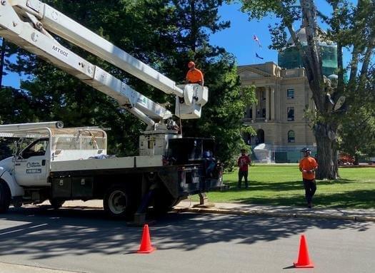 tree removal, tree pruning, tree trimming, arborist, tree care, tree service