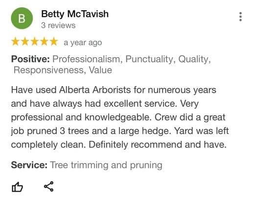 tree removal, tree pruning, tree trimming, arborist, tree care, tree service