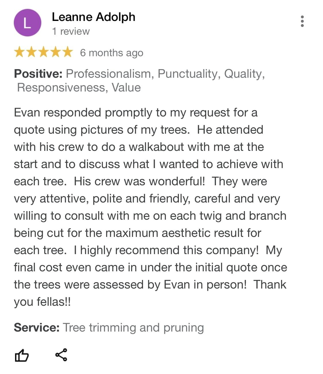 tree removal, tree pruning, tree trimming, arborist, tree care, tree service