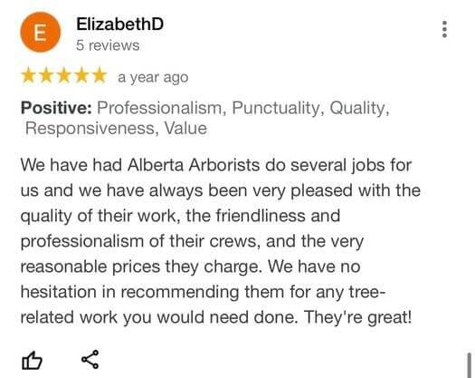 tree removal, tree pruning, tree trimming, arborist, tree care, tree service