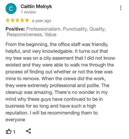 tree removal, tree pruning, tree trimming, arborist, tree care, tree service