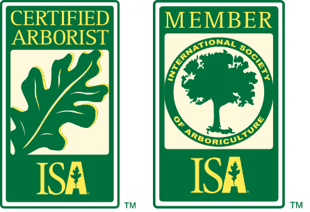 tree removal, tree pruning, tree trimming, arborist, tree care, tree service