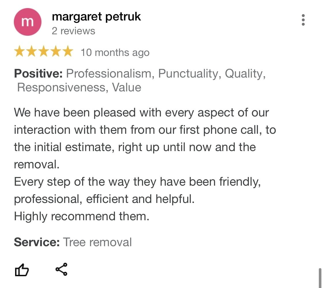 tree removal, tree pruning, tree trimming, arborist, tree care, tree service