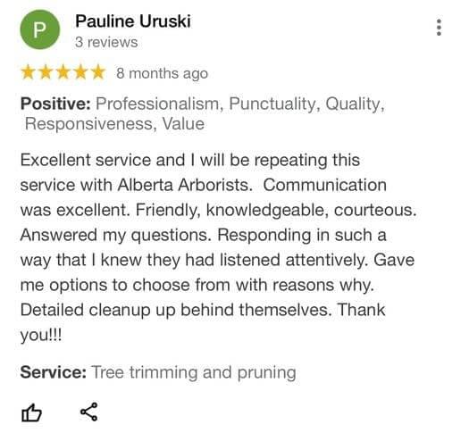 tree removal, tree pruning, tree trimming, arborist, tree care, tree service