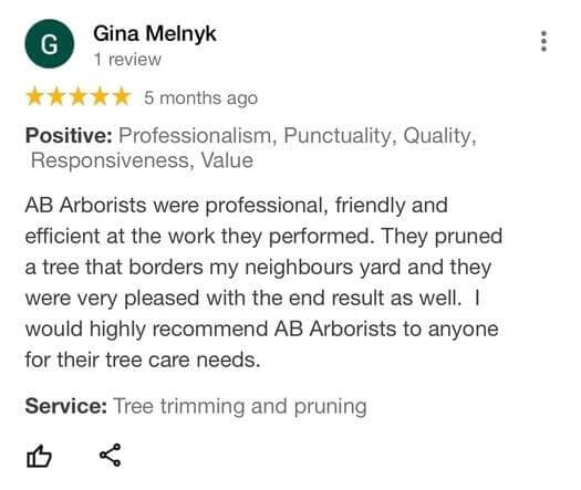 tree removal, tree pruning, tree trimming, arborist, tree care, tree service