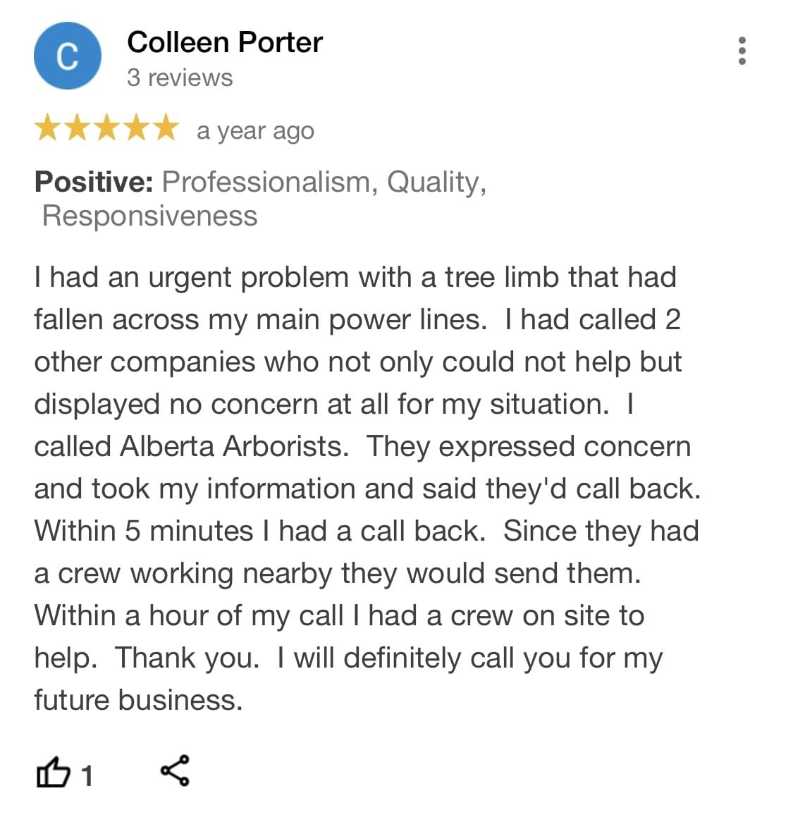 tree removal, tree pruning, tree trimming, arborist, tree care, tree service