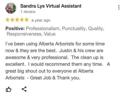 tree removal, tree pruning, tree trimming, arborist, tree care, tree service