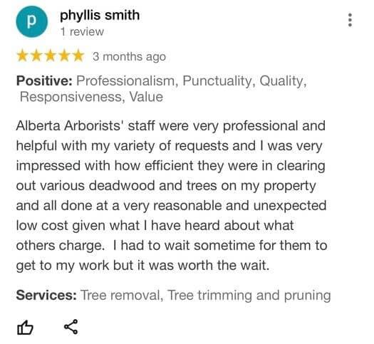 tree removal, tree pruning, tree trimming, arborist, tree care, tree service