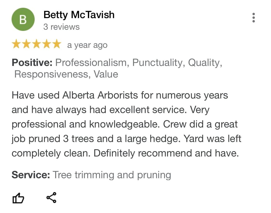 tree removal, tree pruning, tree trimming, arborist, tree care, tree service