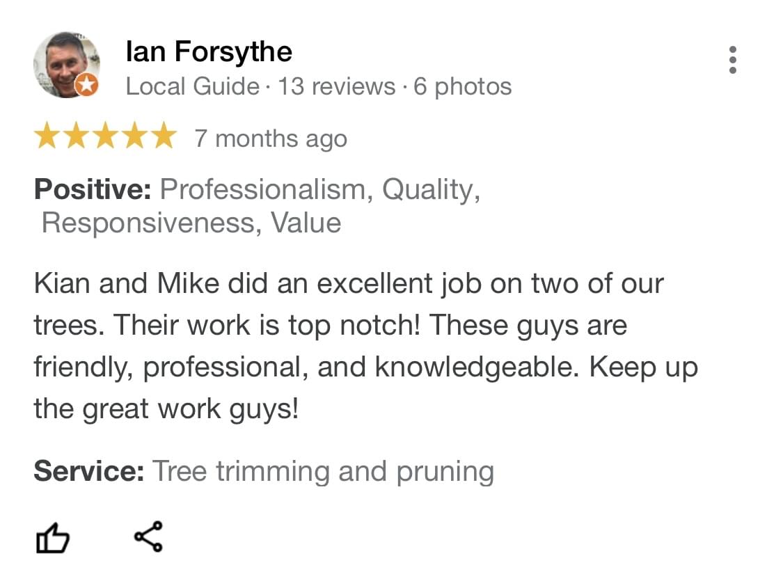 tree removal, tree pruning, tree trimming, arborist, tree care, tree service