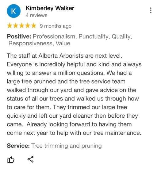 tree removal, tree pruning, tree trimming, arborist, tree care, tree service