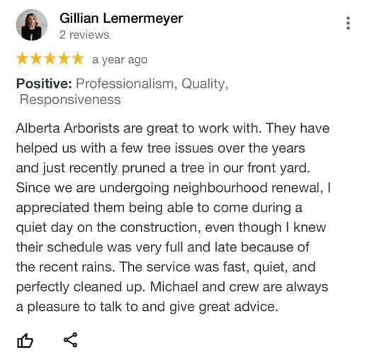 tree removal, tree pruning, tree trimming, arborist, tree care, tree service