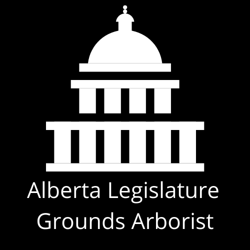 tree removal, tree pruning, tree trimming, arborist, tree care, tree service